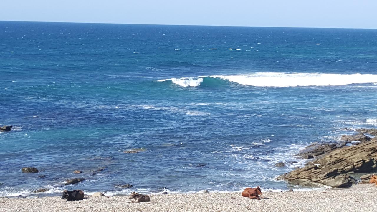 فندق Tranquility Psj Port Saint Johnʼs المظهر الخارجي الصورة