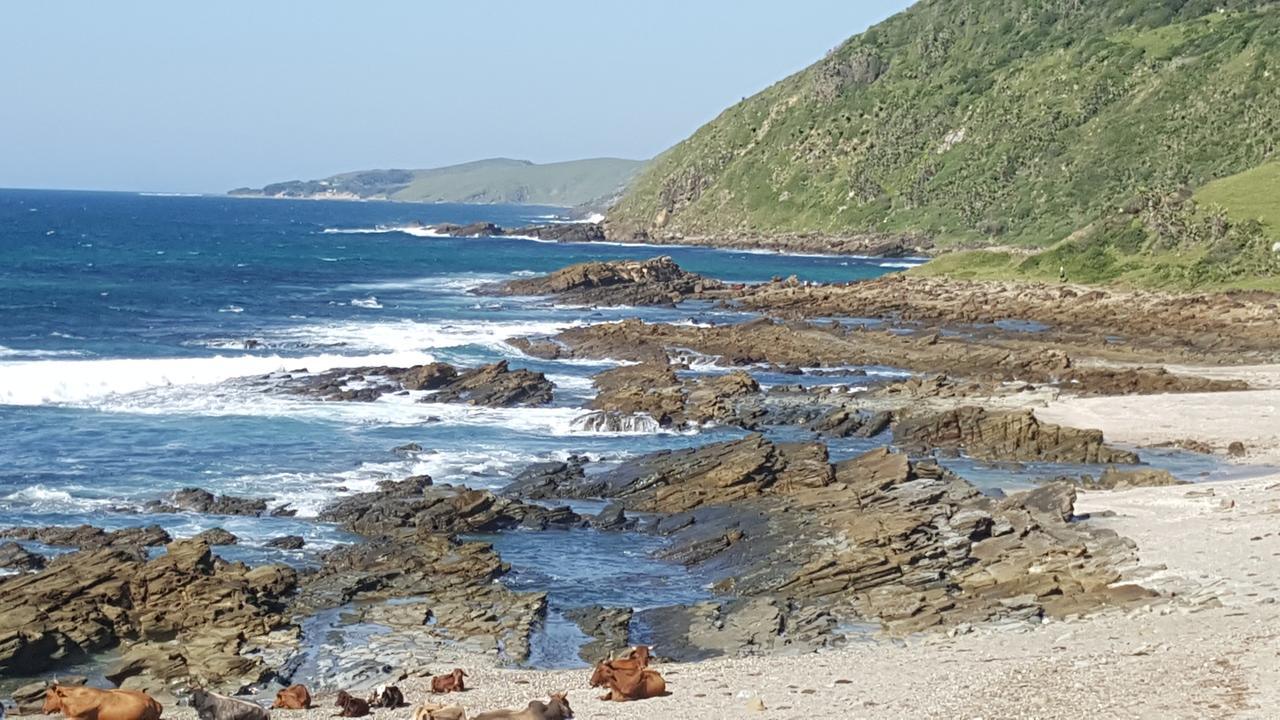 فندق Tranquility Psj Port Saint Johnʼs المظهر الخارجي الصورة